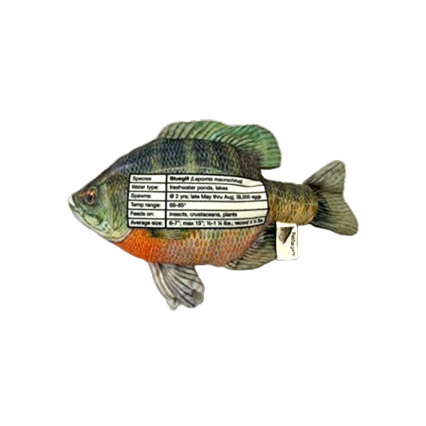 Bluegill