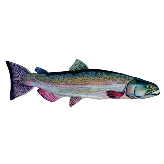 Chinook Salmon