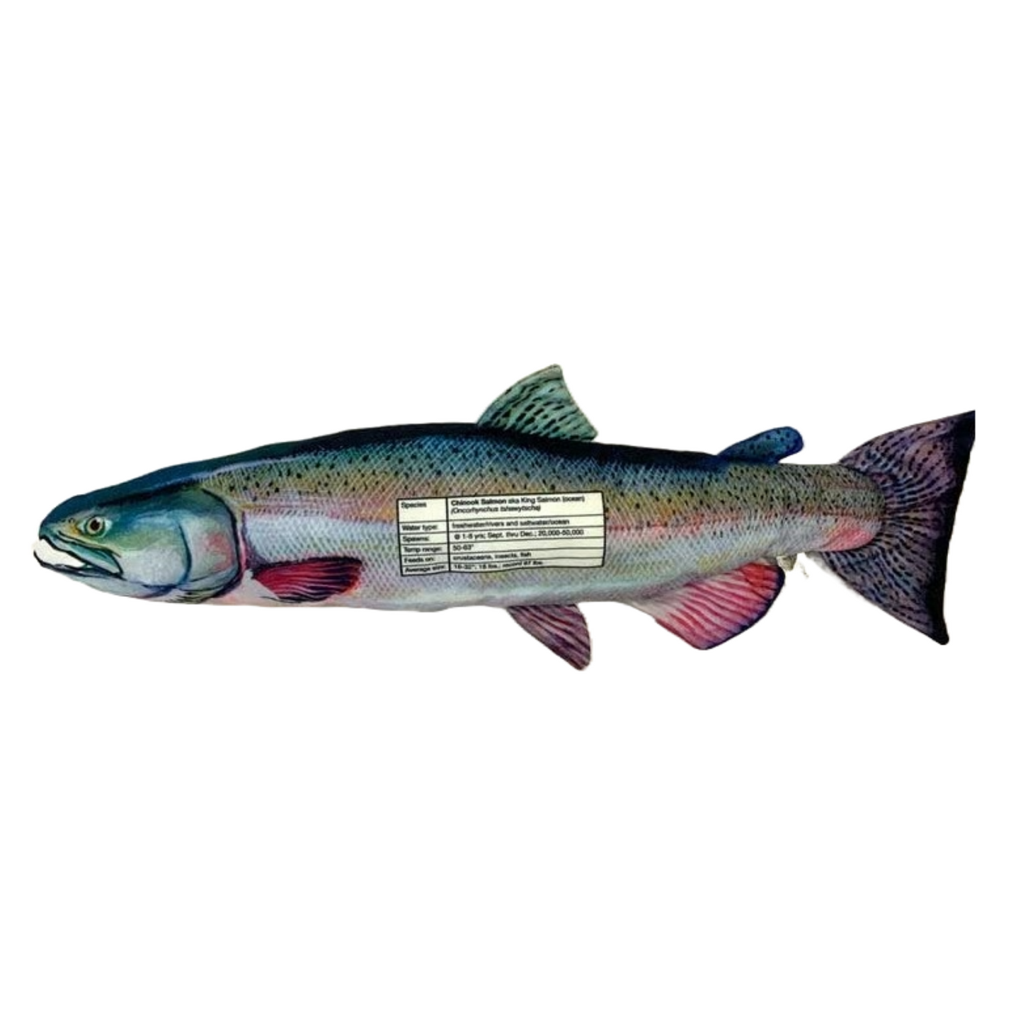 Chinook Salmon