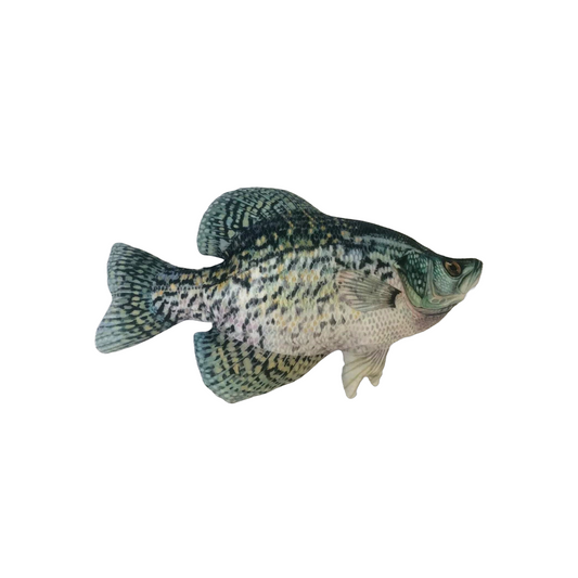 Crappie