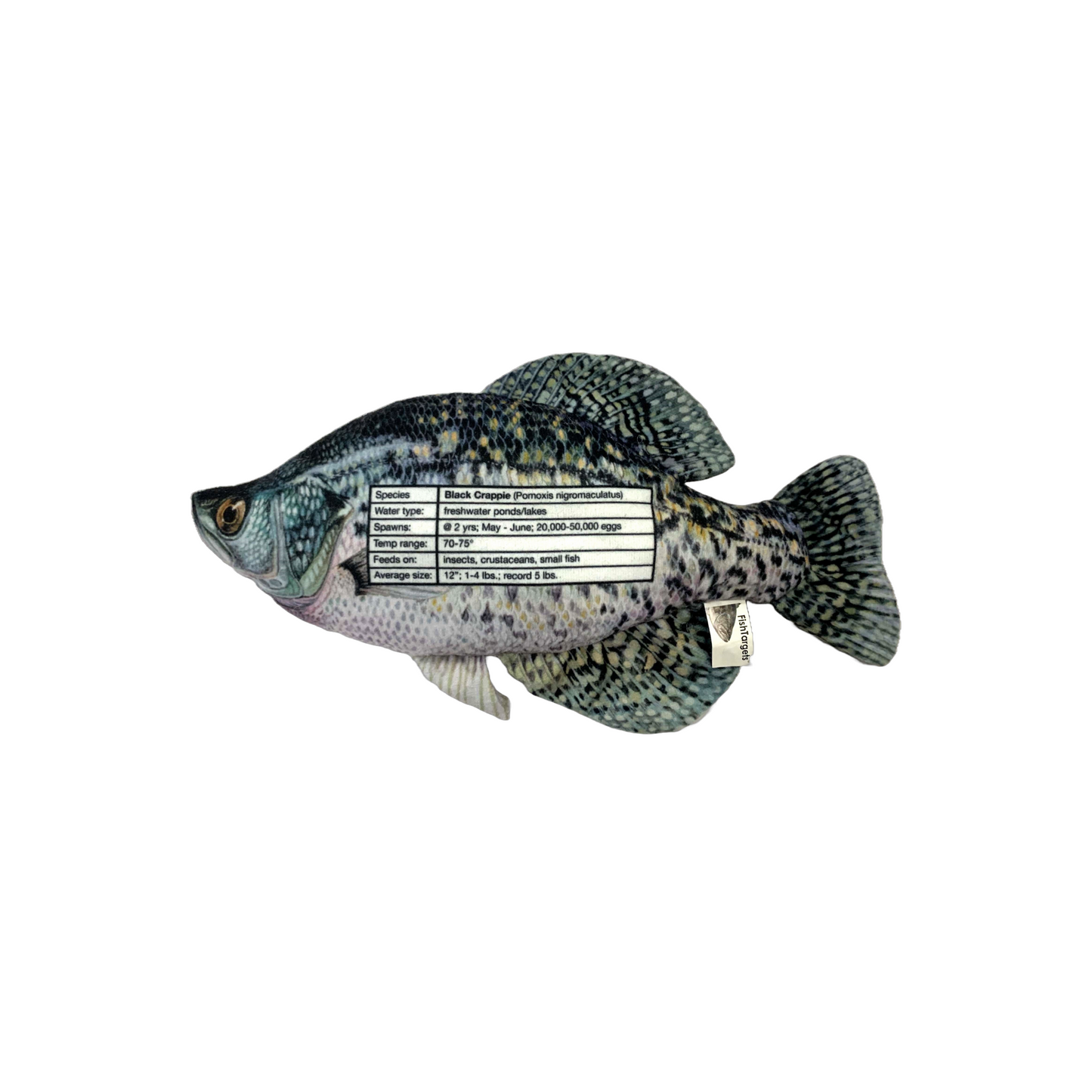 Crappie