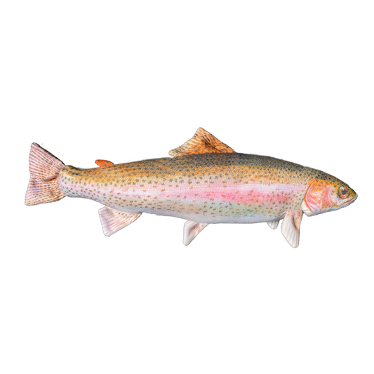 Rainbow Trout
