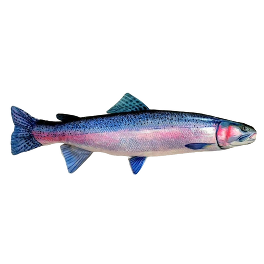 Steelhead