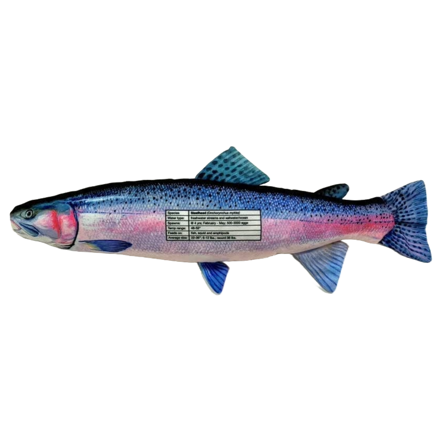 Steelhead