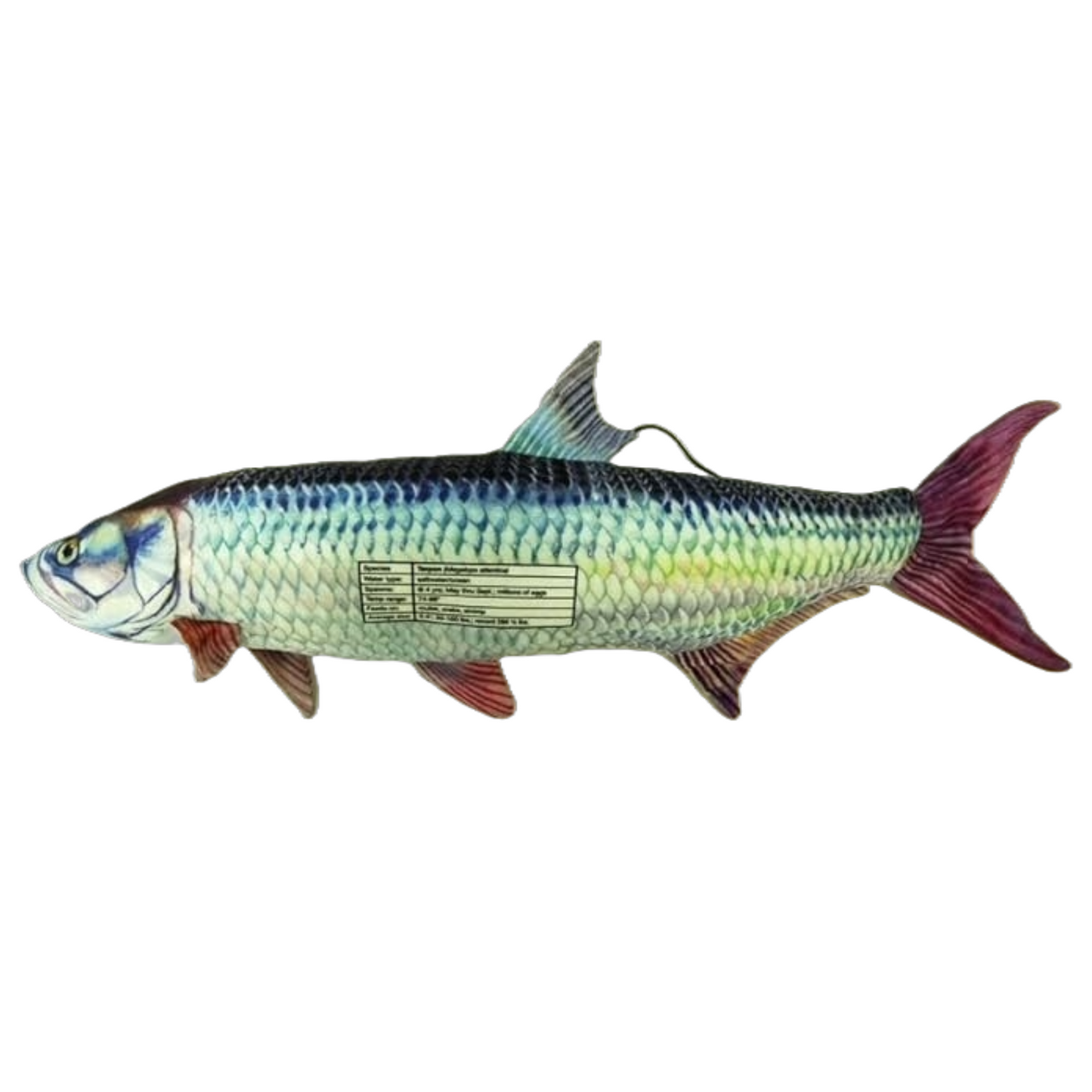 Tarpon