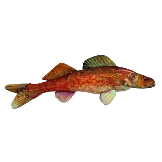 Walleye