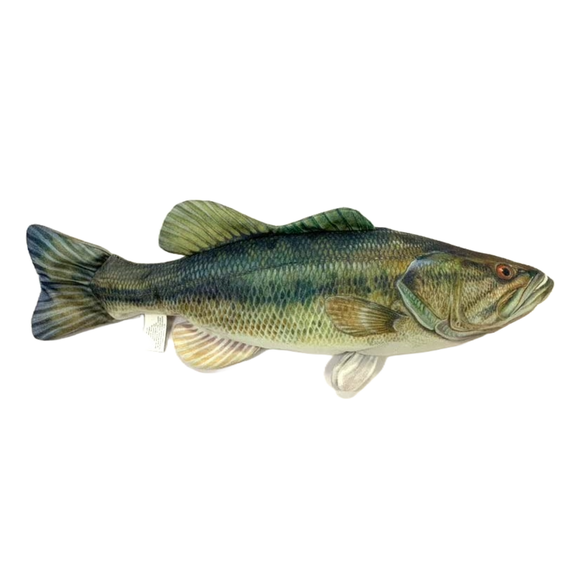 Largemouth Bass – FishTargets