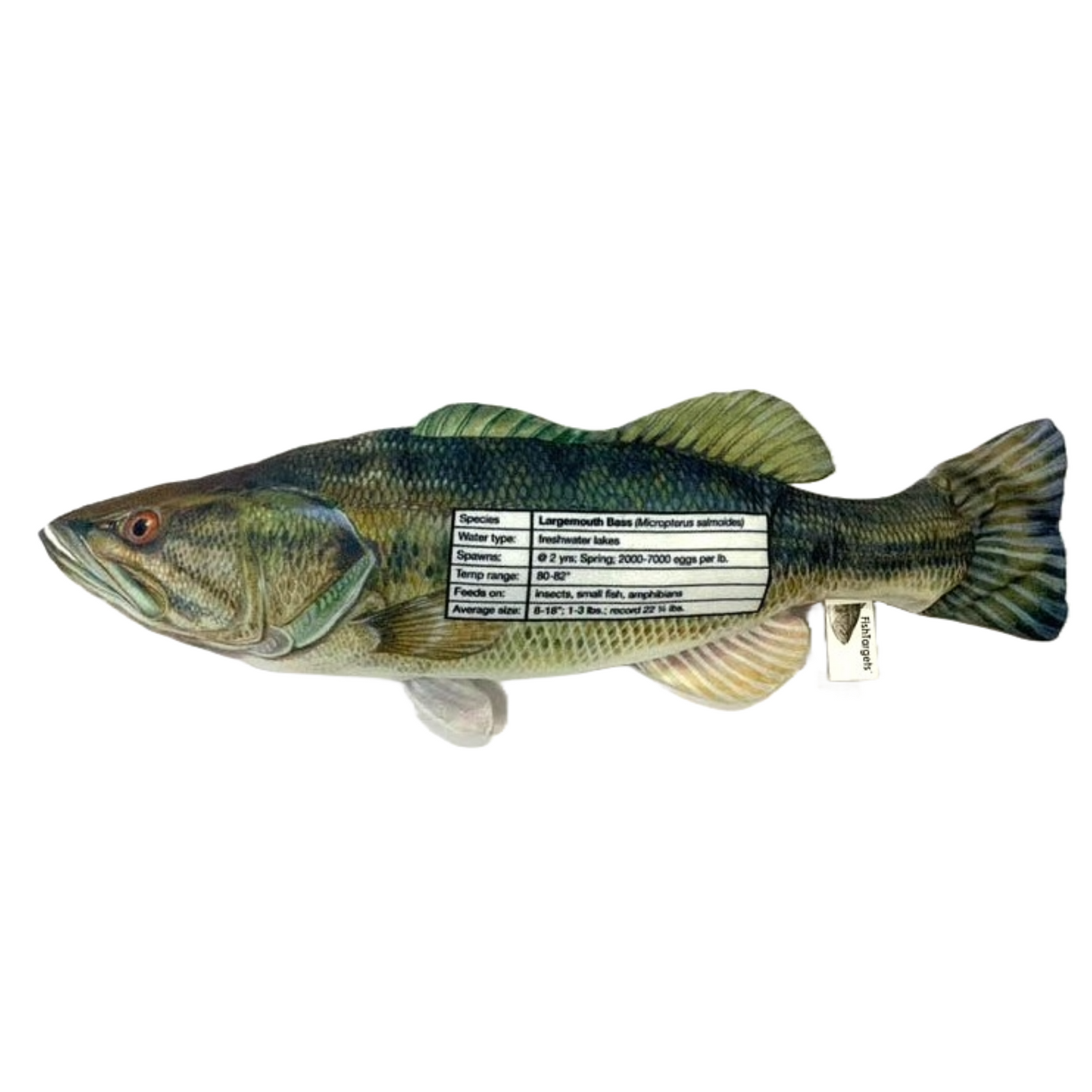 Trout LargeMouth Bass Fish Fishing Lovers Womens Tank Top, Black, Medium