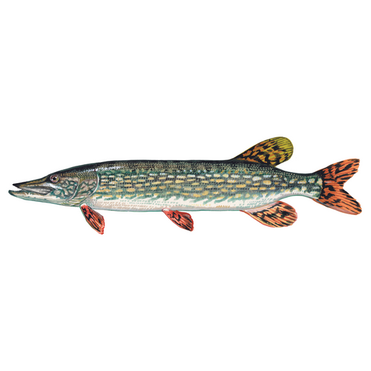 Northern Pike - Future FishTargets