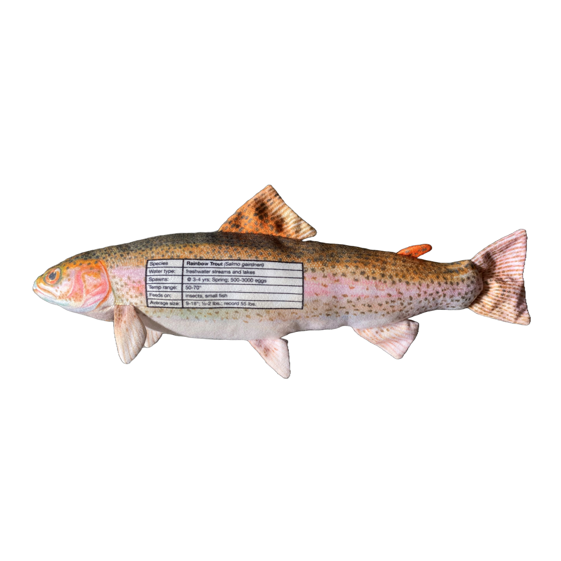 Rainbow Trout – FishTargets
